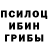 Псилоцибиновые грибы мухоморы Anna Holub