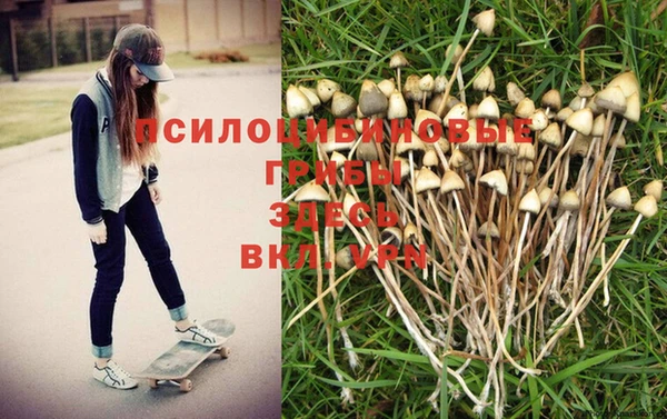 a pvp Белокуриха