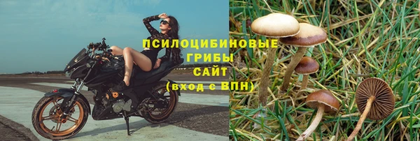 a pvp Белокуриха