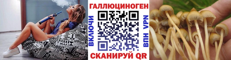 Галлюциногенные грибы Cubensis  Чайковский 