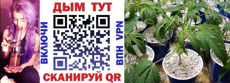 кракен tor  Чайковский  Марихуана White Widow 